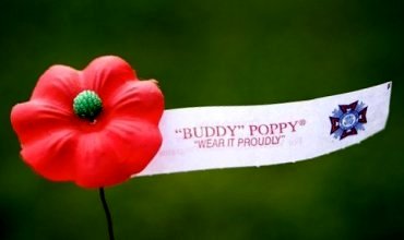 Buddy Poppy