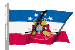 VFW Flag